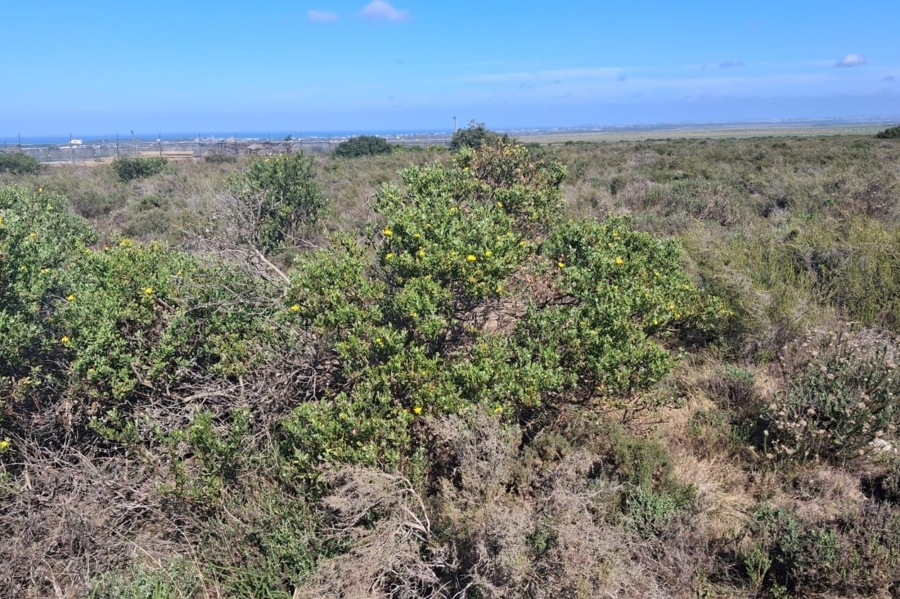 Commercial Property for Sale in Fountains Estate Eastern Cape